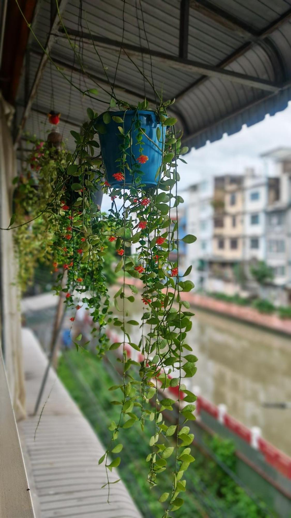 Baan Nampetch Hostel *